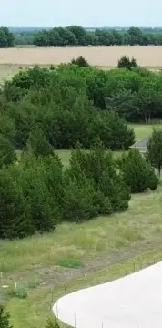 Residential Homesite Acre Lot