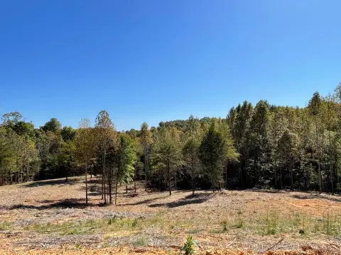 Land Near Dale Hollow Park