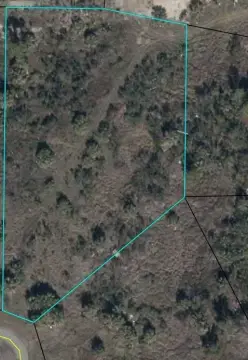 Horseshoe Beach Vacant Land