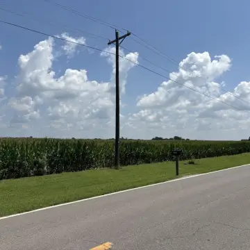 Irrigated Agricultural Land