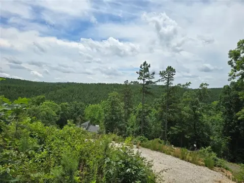 Broken Bow Land with View