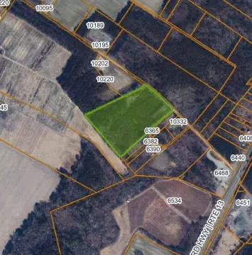 Wooded Homesite and Recreation Land