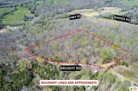 Secluded Wooded Land for Hunting