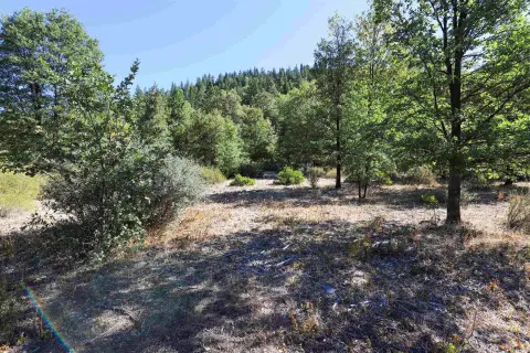 Mt. Shasta Acreage For Sale