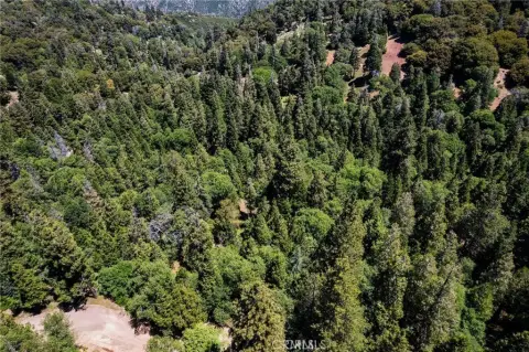 Forested Land in Cedarpines Park