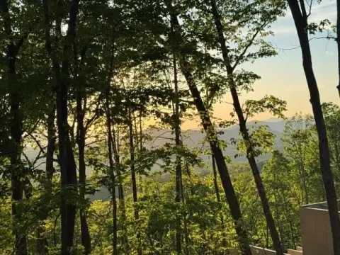 Mountain View Homesite Opportunity