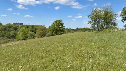 Kentucky Farm and Estate Opportunity