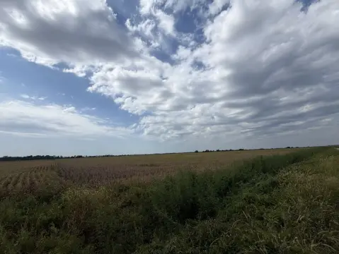 Agricultural Farmland