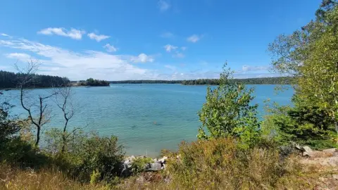 Waterfront Land in Jonesboro, Maine