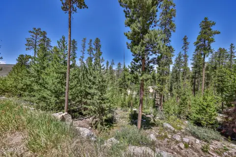 Ridge-Top Mountain Homesite