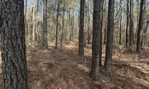 Elba, AL Vacant Land