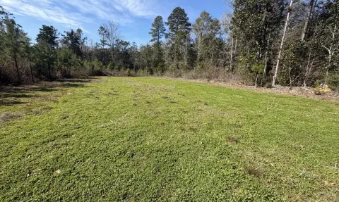 18 Acres of Alabama Land