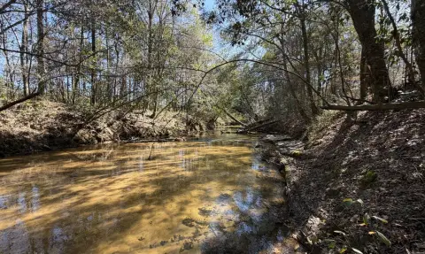 Versatile Land Tract in Elba