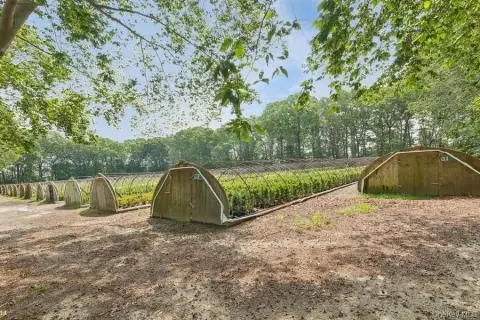 Agricultural Land with Hoop Greenhouses