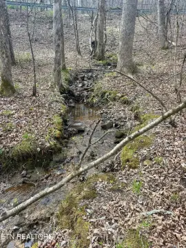 Gently Rolling 2.3 Acre Lot