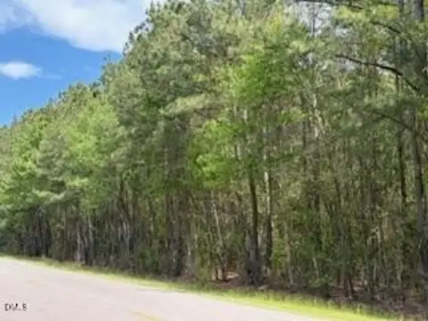 54.7 Acres Wooded Land