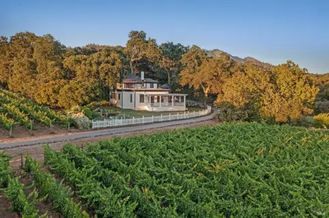 Vineyard Estate with Winery