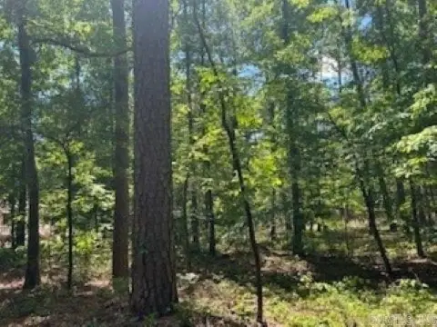 Hot Springs Village Cul-de-Sac Lot