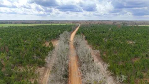 Slocomb Vacant Land For Sale