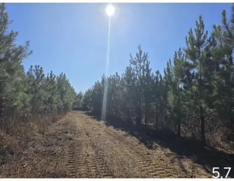 6 Acre Land Tract