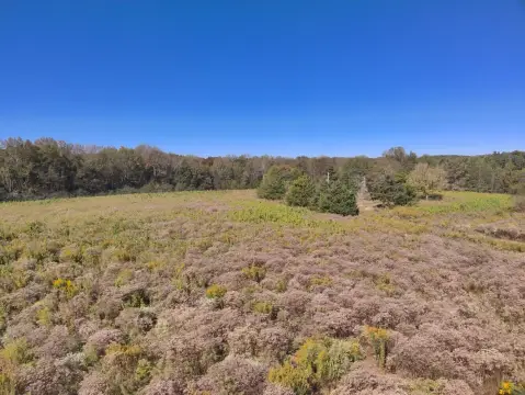 20 Acres Vacant Land