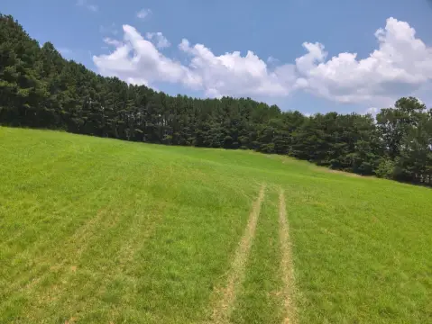 Timbered Lake-Adjacent Land Tract