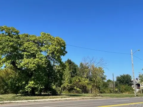 Residential Land in Detroit, MI