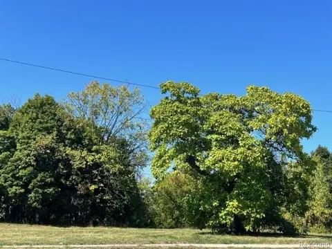 Residential Land in Detroit, MI
