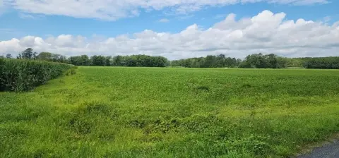 46 Acres of Rural Land