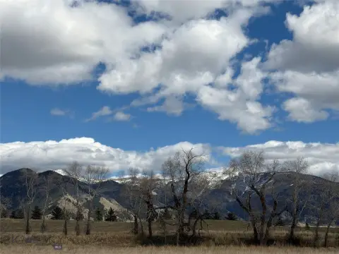 Land in Bridger Lake Meadows
