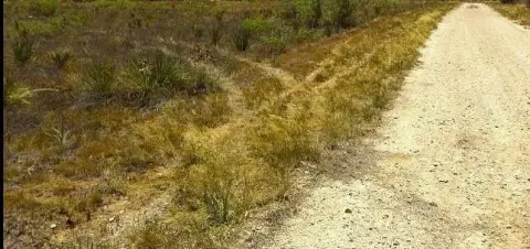 Residential Land in Midland, TX