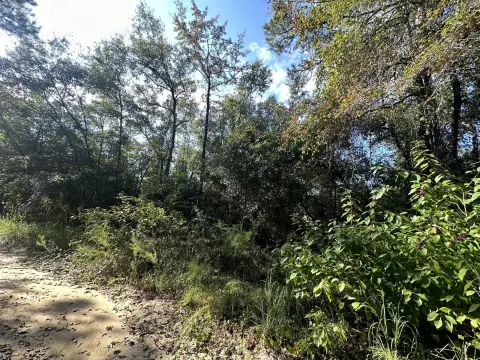 Creekside Land