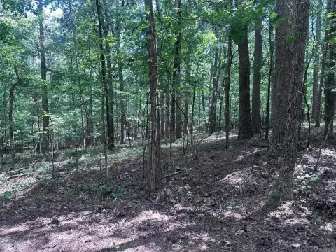Hot Springs Village Wooded Lot