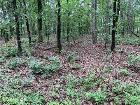 Residential Lot in Gated Community