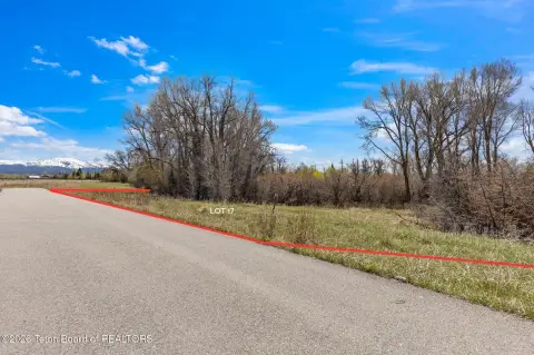 Three Acre Wooded Lot