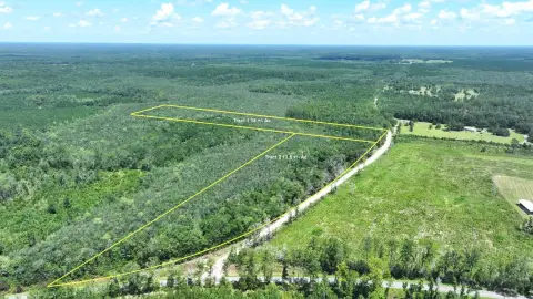 Wooded Homesite in Rural County