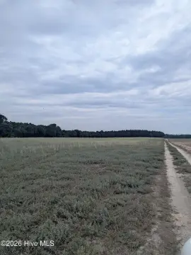 Cleared Farmland with Replanted Pine
