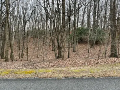 Ellijay Vacant Lot For Sale