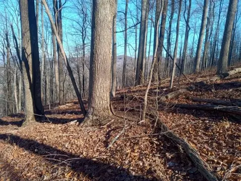 Ellijay, GA Vacant Lot