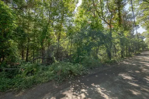 Wellfleet Land Near Long Pond