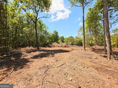 10.15 Acres in Lamar County