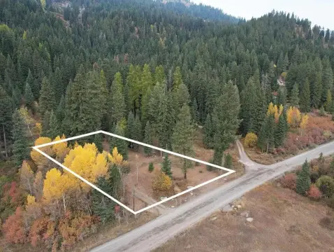 Timber-Covered Buildable Homesite