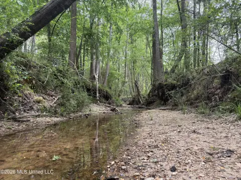 Brookhaven Land with Creek