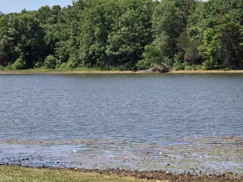 Lakefront Wooded Land Lot