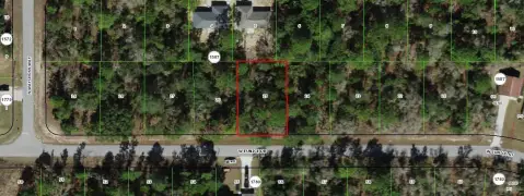 Citrus Springs Homesite For Sale