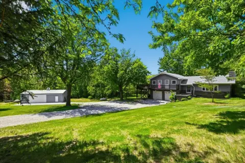 Timber Acreage with Outbuilding