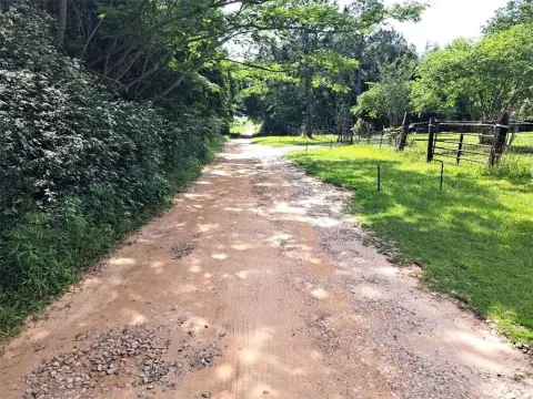 Unrestricted Wooded Land in Grand Bay