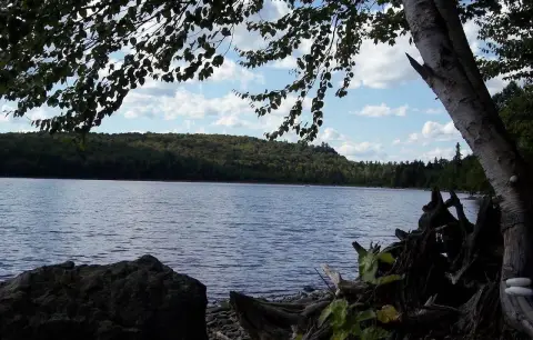 Brassua Lake Frontage Land