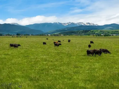 Gallatin Valley Land Parcel