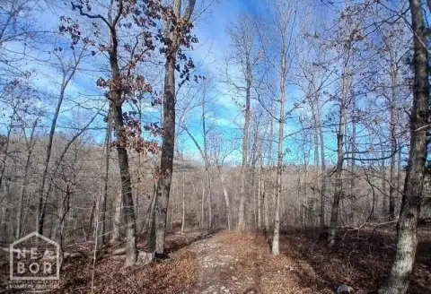 Wooded Hunting Land with Water Features